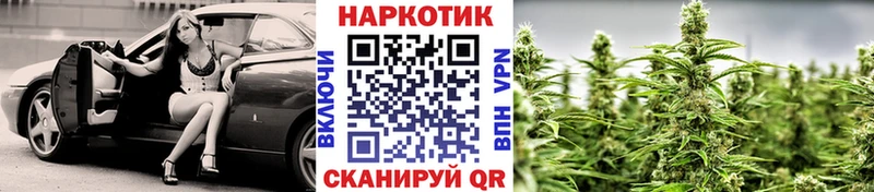 Где найти наркотики Кизел A-PVP Меф Гашиш Псилоцибиновые грибы Марихуана