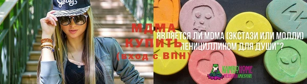 шишки Алексин