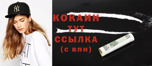 шишки Алексин