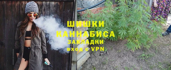 шишки Алексин