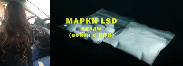 шишки Алексин