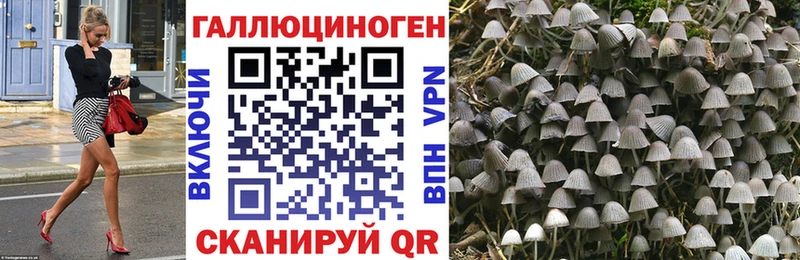 Псилоцибиновые грибы GOLDEN TEACHER  Кизел 